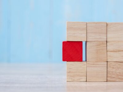 Introduction to Risk Management Plan