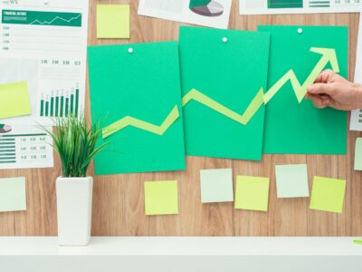 Introduction to individual development plan